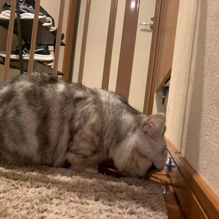 Dab29997 903e 47be afd6 b5fb5d3fb8af 1706099927847