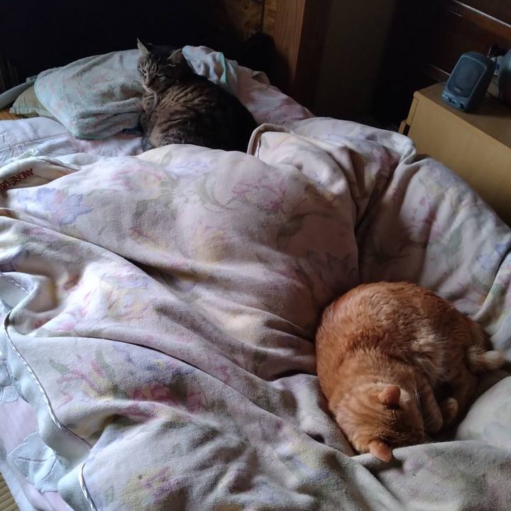 Dab2b1b0 1b45 4a7e afea cf8337494acd 1685311297801