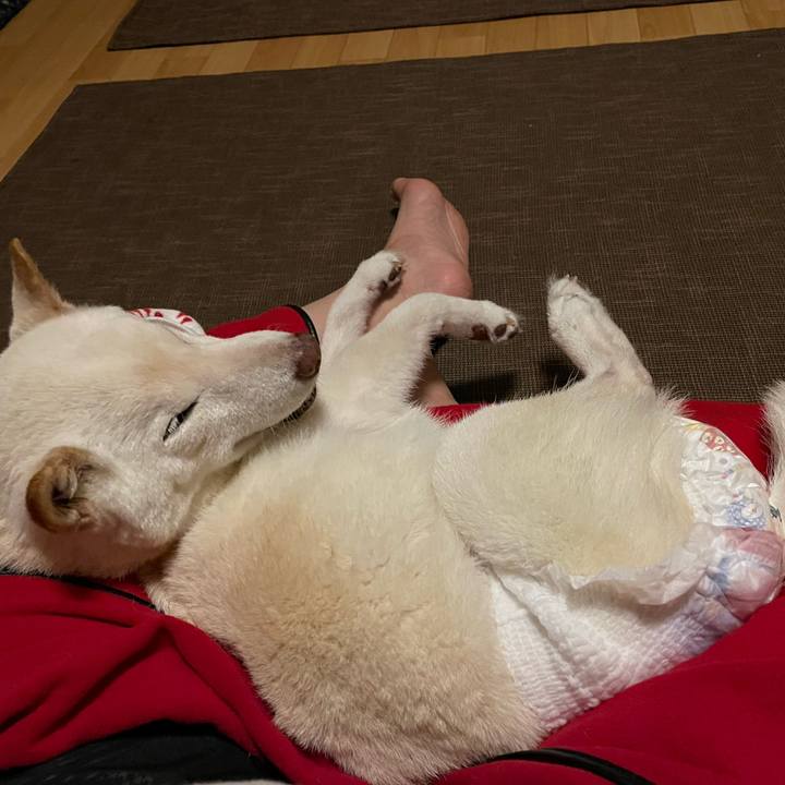 Dab2b252 4536 4c48 a03a 847f74a49a3b 1663514181287