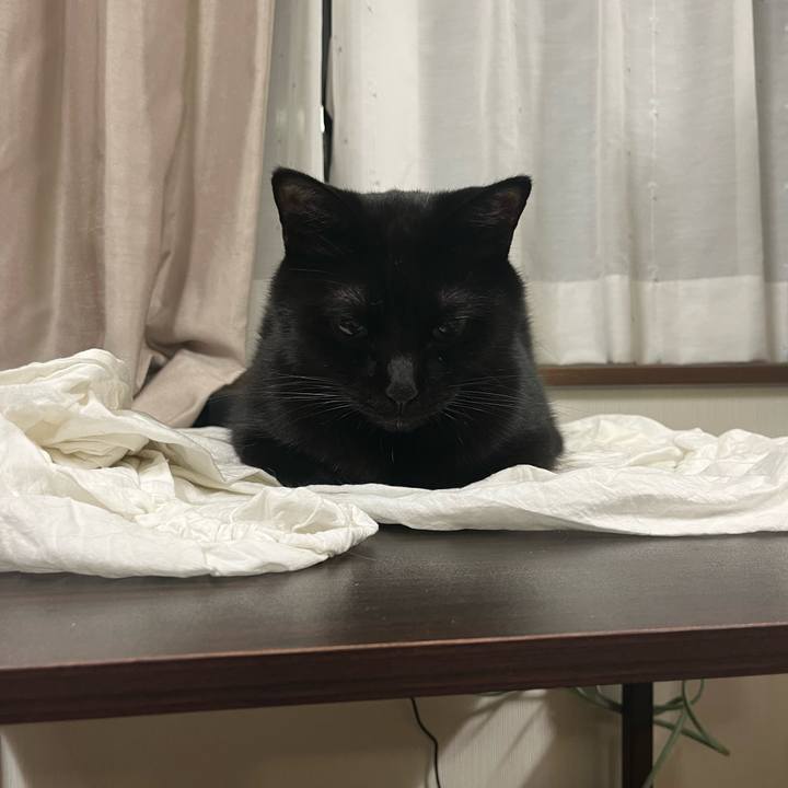 Dab2d186 094c 4884 8be7 35030300572e 1718028316821