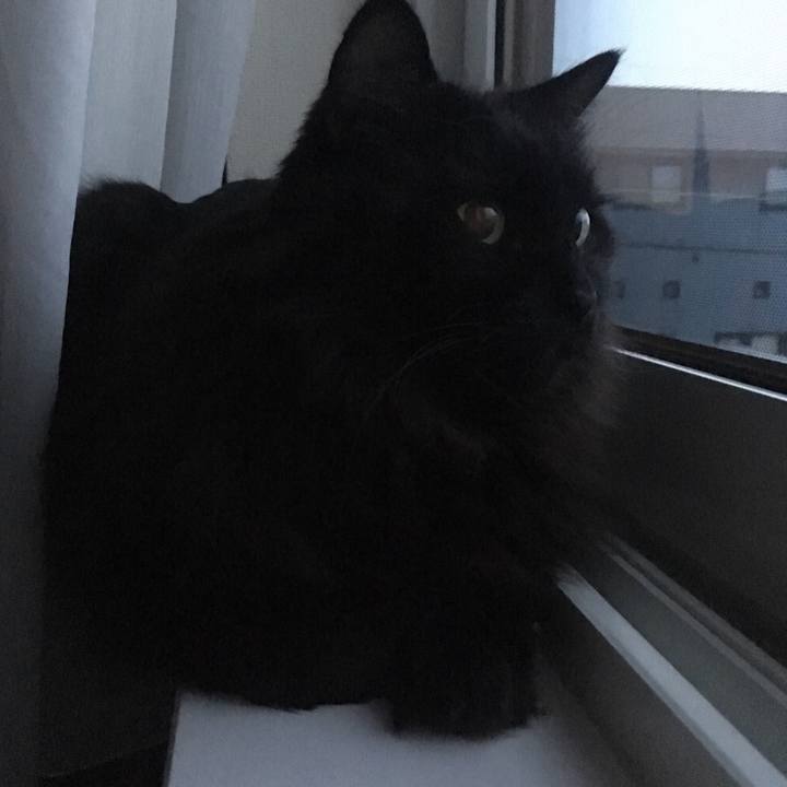 Dab2d408 c967 4652 9502 2fcf0808ac67 1545435362733