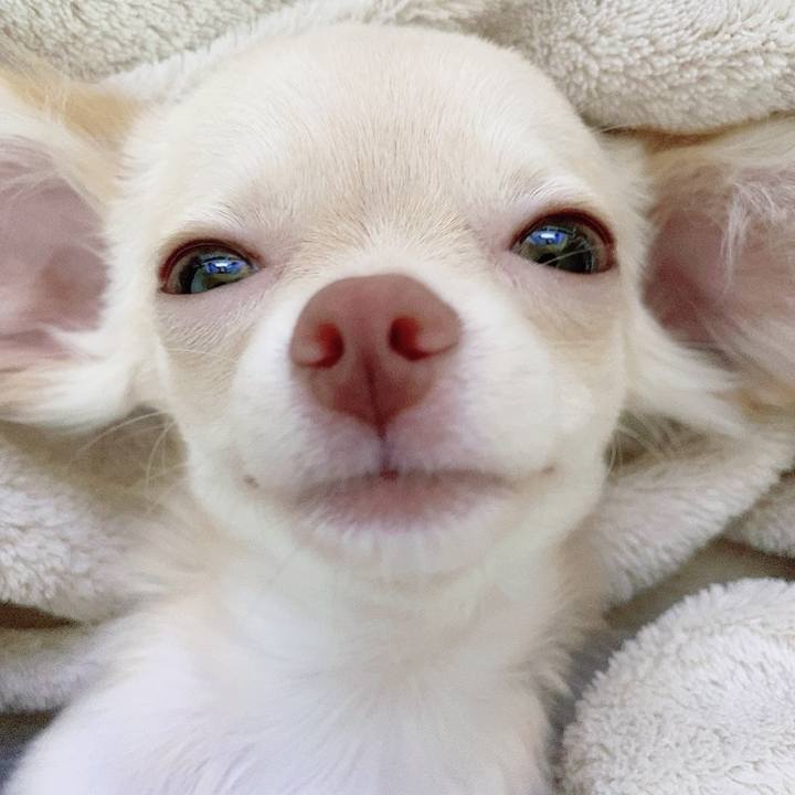 Dab2e48d 275f 4a3e b3a9 d755b87f724b 1594791401161