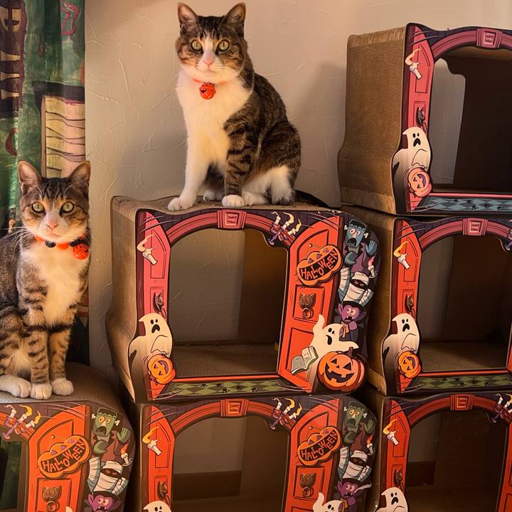 Dab337a9 b313 4df9 9619 63f7465bc6ae 1761910445202