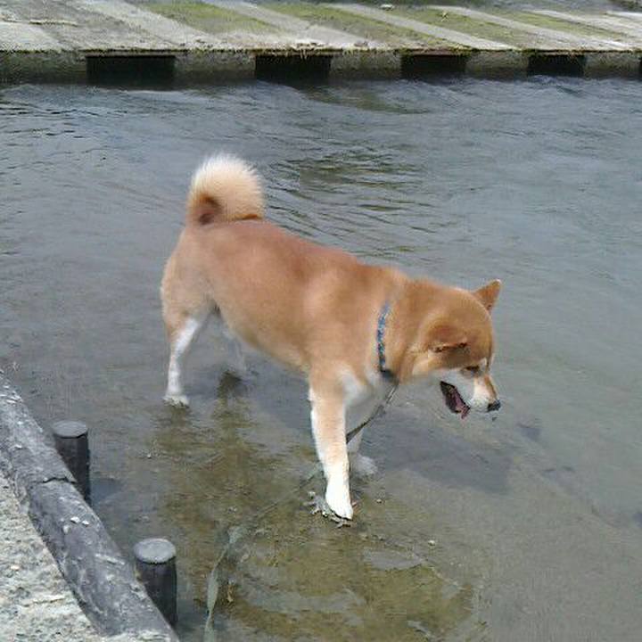 Dab33f9d f991 4e84 b048 c27aa0493a56 1559817287933