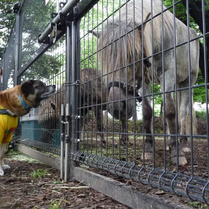 Dab35559 abd6 4774 855d 722cbf65c868 1578002908838