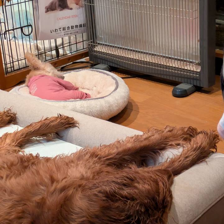 Dab358ff 2e2e 432b ab1b 7afaface2300 1766707136464