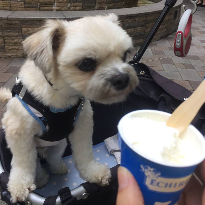 Dab36413 f773 4b2d 9c6f 69337b33f827 1529933259918