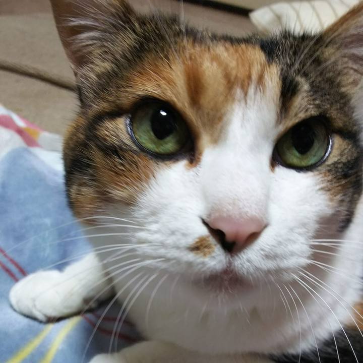 Dab3831a 865f 4291 a101 041befe5caa5 1539781940737