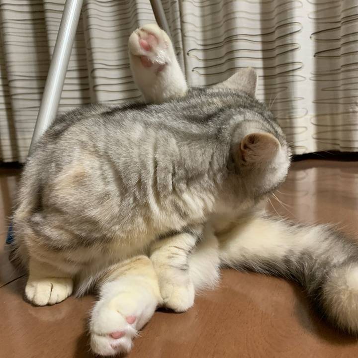 Dab3de26 99b8 4a6b b32a 4f169b89bbbc 1707048290263