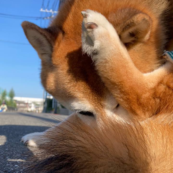 Dab48533 d512 47c3 85d0 6b7bc7b98c56 1727864243387