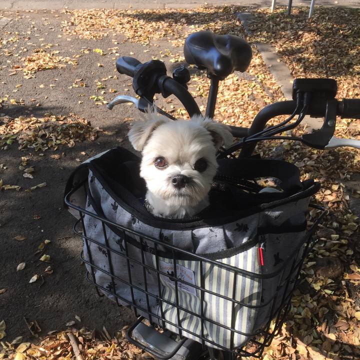 Dab48cb5 fab3 4340 a86b e490082d5cfd 1510918214837