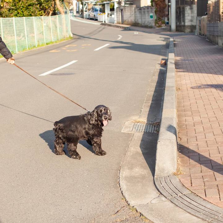 Dab4958b d110 4bf1 966e 64ce9ed1c815 1548676827890