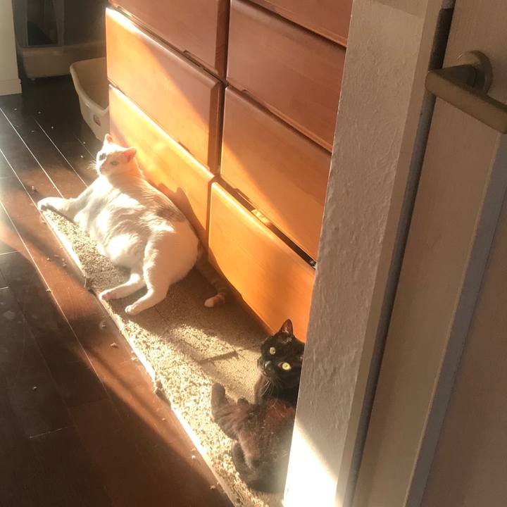 Dab49f2a 4c72 4fbf 8fa5 b23d6d7390ff 1588649831742