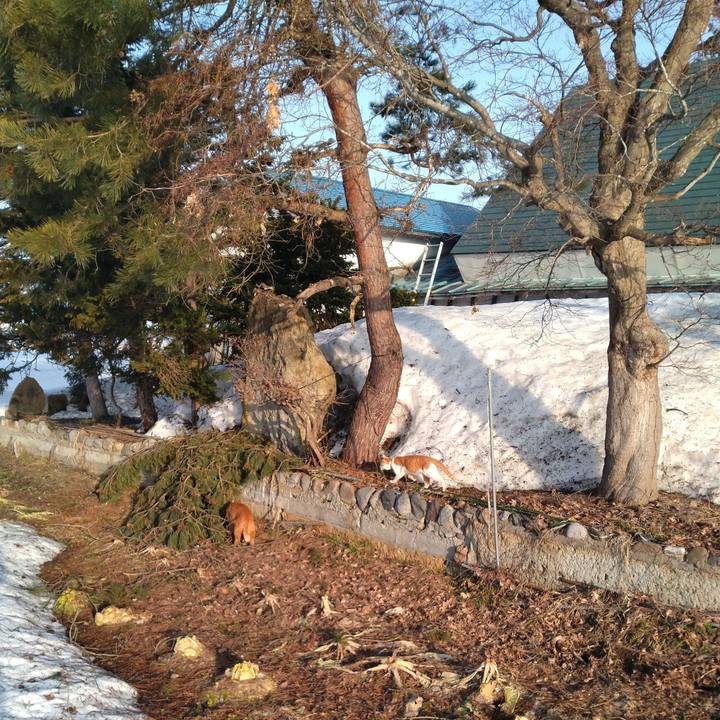 Dab4b012 f2ac 43de 9aff e16cc7ed2b8b 1741734428831