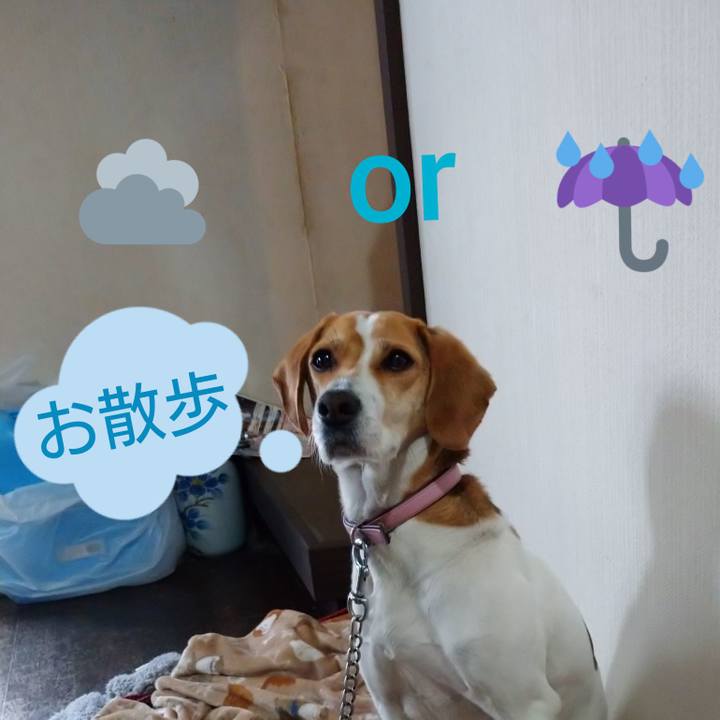 Dab4b84d 7cb1 4090 a3b5 7331a0a2d32d 1585546898844