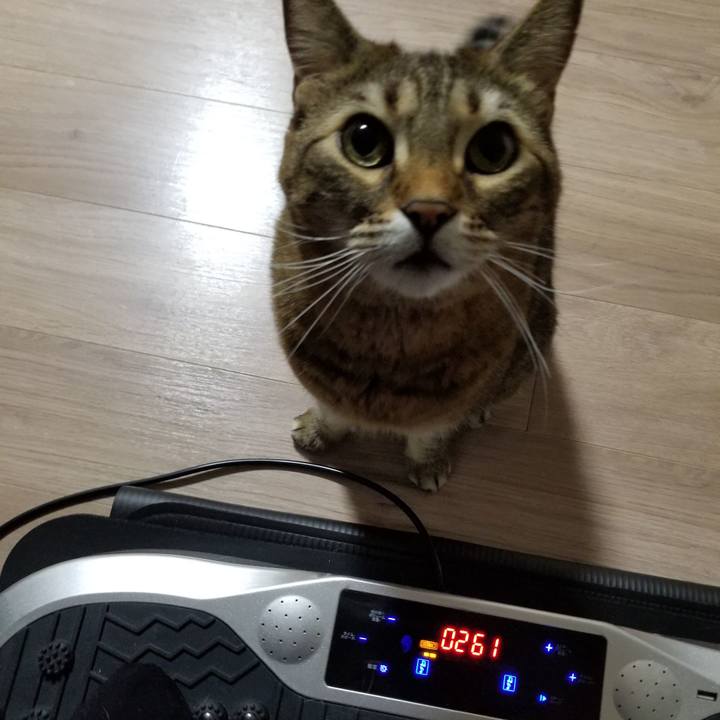 Dab4c399 dd3d 44b8 a721 0d95414a8611 1612906770881