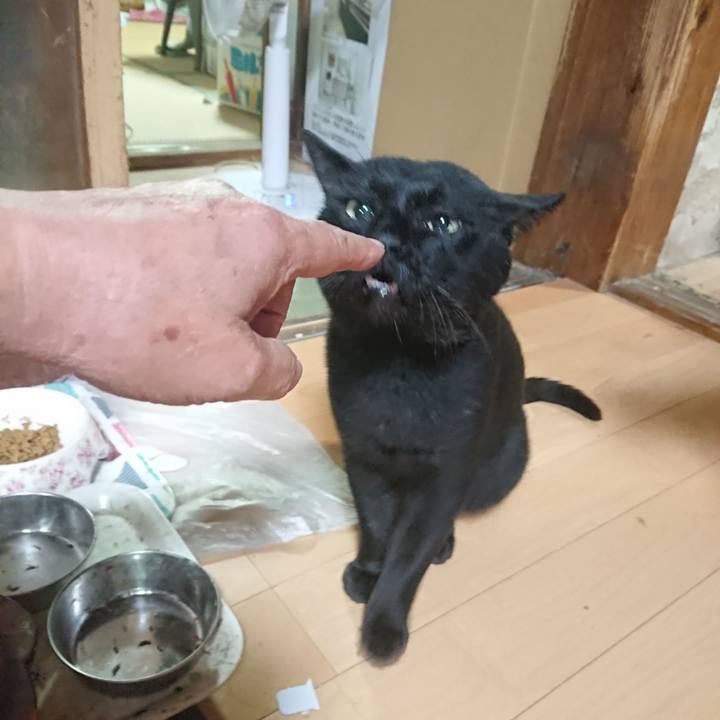 Dab50ecc 7dfe 4b62 92f9 db12b4d40679 1630148076487