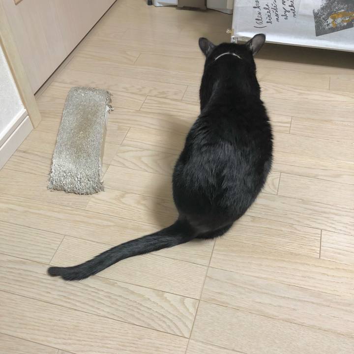 Dab51cfd fd51 4641 9bd1 3bade7597617 1619786823038