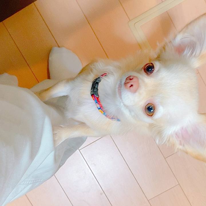 Dab520c2 8d63 4524 9bf4 6f9b76b792d1 1632996888916