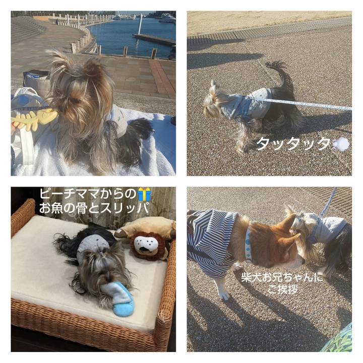 Dab52558 17cb 4534 9bbf 308b7e72ea14 1612665364304