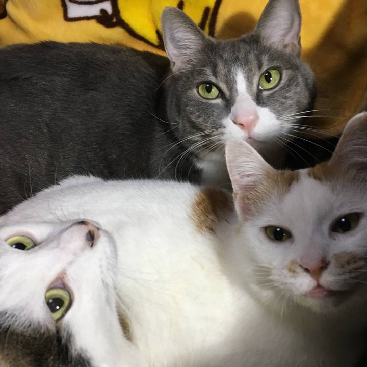 Dab5293c 8ccd 4c06 9bf1 c83f364edcb3 1553526080837