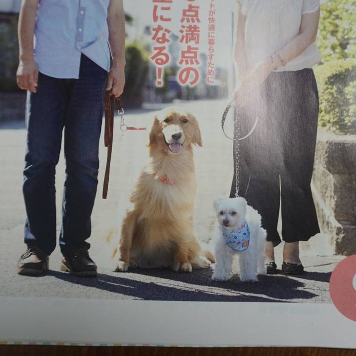 Dab53b81 9d9d 4afa b8b5 d411212201fa 1521161341074