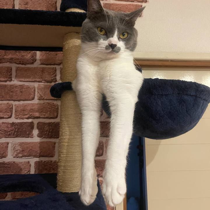 Dab53e2d 0c74 4c0c 9429 ddfd8c756025 1631523670656