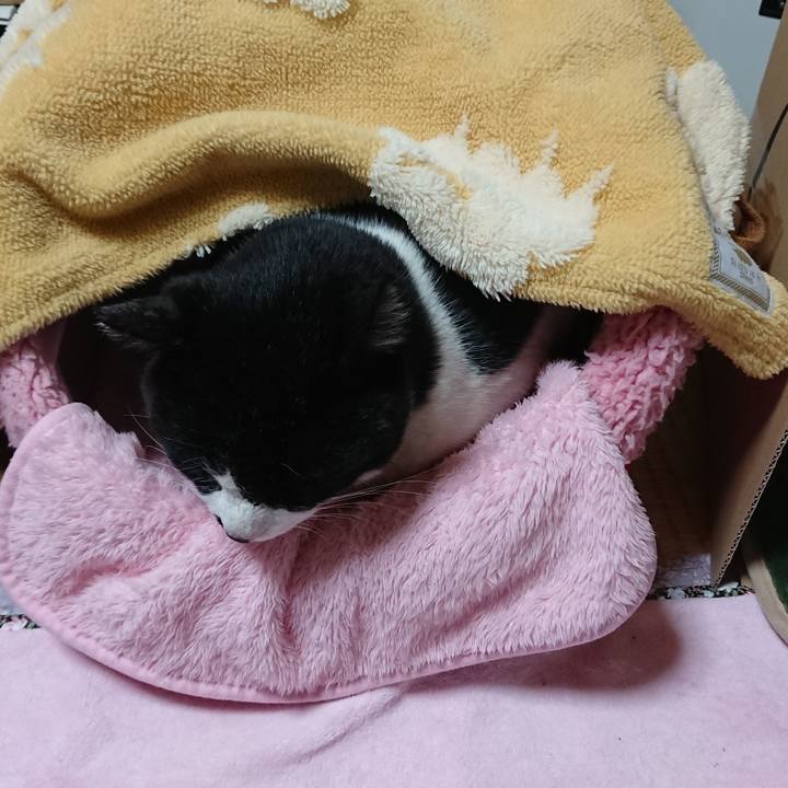 Dab5961f 2eea 4587 a3e5 3a4ae33d8118 1554899010215