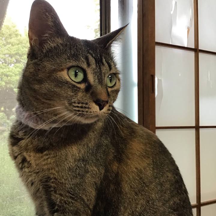 Dab5b555 10c8 4270 9e4c 9b3e469abb0b 1747907327711