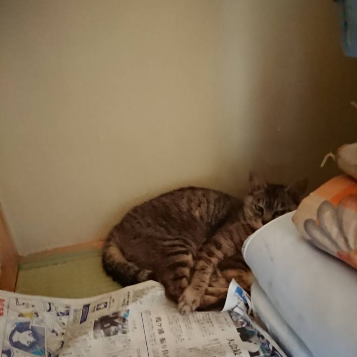 Dab5b980 aec1 4ec2 8811 ce588a65440e 1565574679476