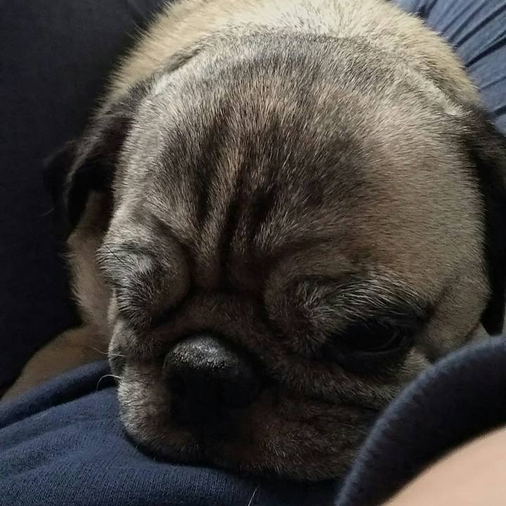 Dab5d398 e9af 4ec3 9fb2 dad67e5c256d 1547129168253