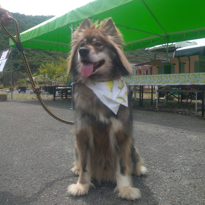 Dab5fabe 81a1 4942 956b d275482aab31 1624280230657