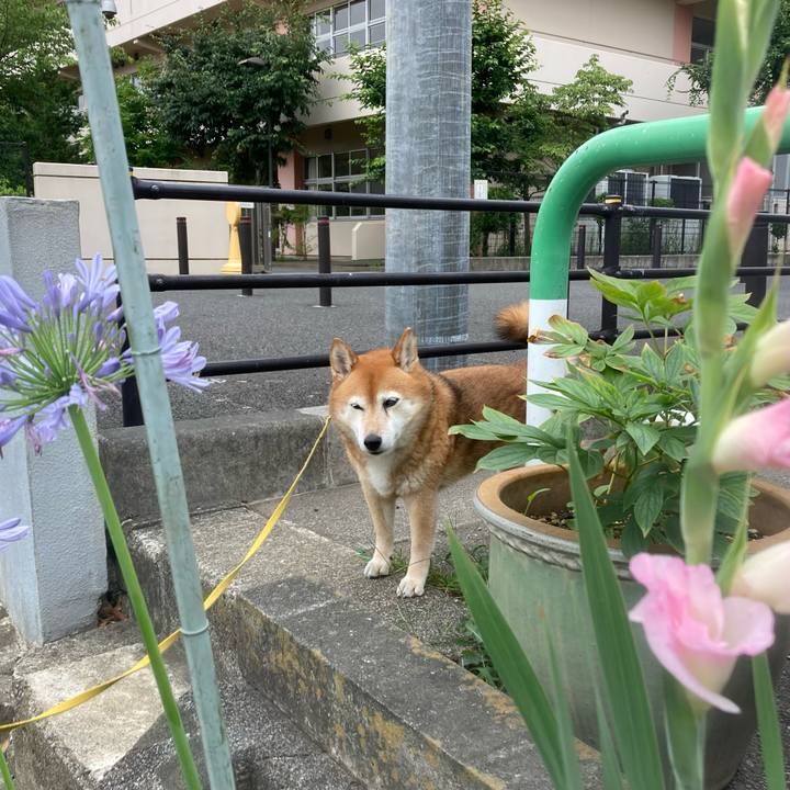 Dab6071c 7b82 4371 a74d 17c647d60543 1655974459335