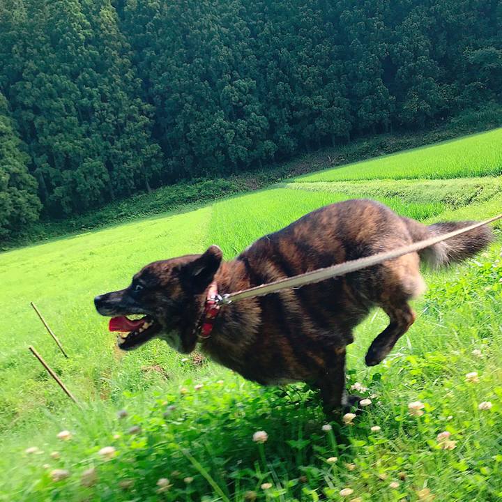 Dab60e19 941d 44df 99cf 754639411f17 1562112251041