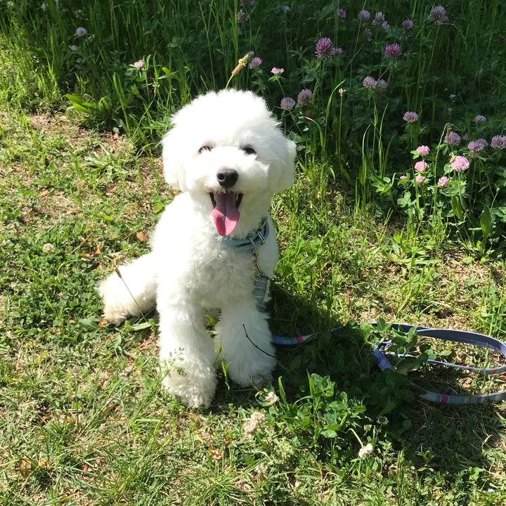 Dab60f35 bdd5 4609 943f 0a638c4b9fed 1525502990068