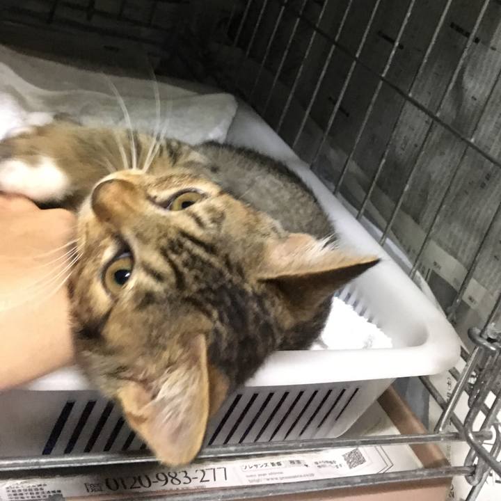 Dab653fe faa1 497e bab2 e53453c219a7 1563182527078