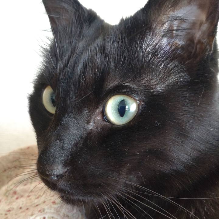 Dab66054 d22c 4576 92b1 b226bdb892ae 1682846839242