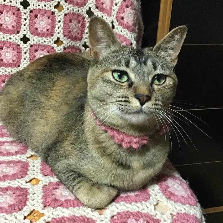 Dab6708a 60d3 4426 bc11 32035cf0b29d 1592186040535