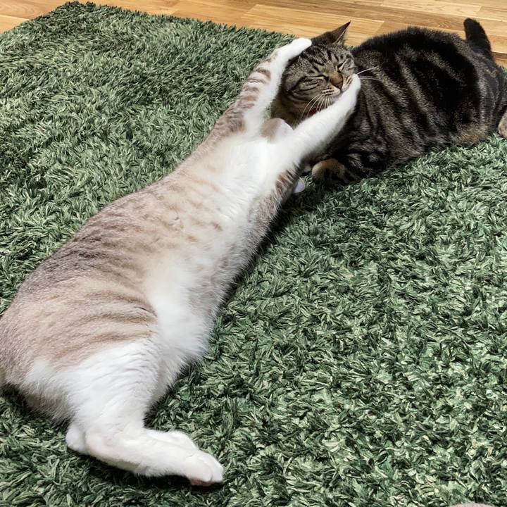 Dab6d6f5 7c10 446f 83c6 b0bd3f1804ed 1590114641637