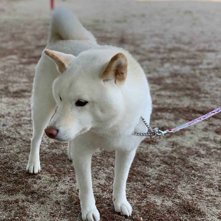 Dab6da89 b157 4e6e 9b3f dae7ec0d5899 1557012722131