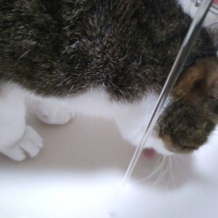 Dab6f8a0 b9df 4d8b 9e5f 5911681a6d68 1551265636413