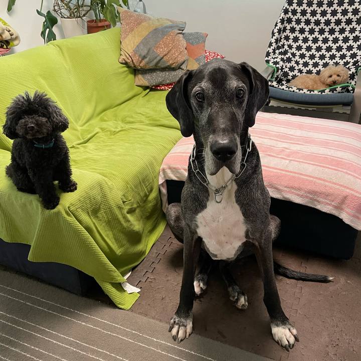 Dab70de5 fc46 4fe9 9731 61db8eb94d7f 1624315006216