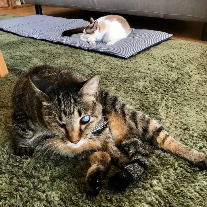 Dab71f63 bd44 494d 89b8 831e01a3d06e 1601433763657