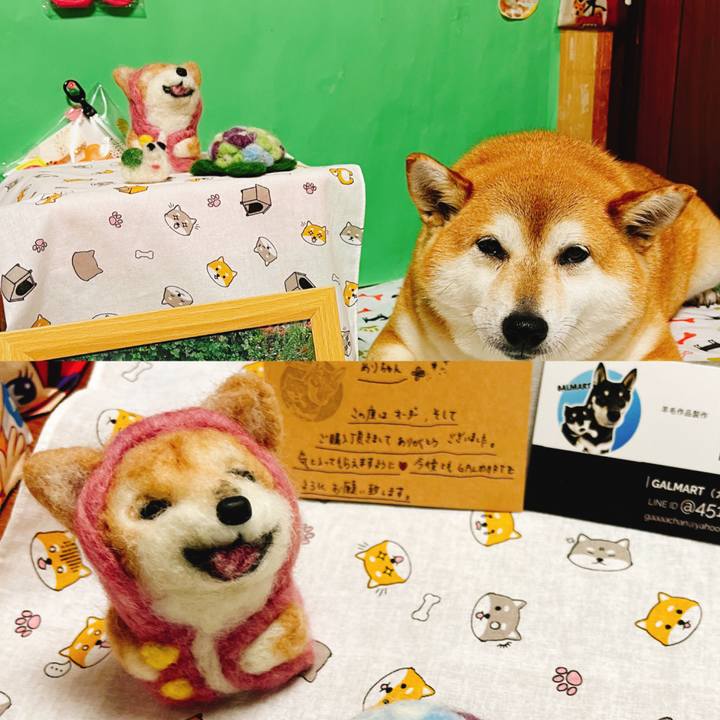 Dab736a8 4875 4940 853b ddc47742013e 1653305177342