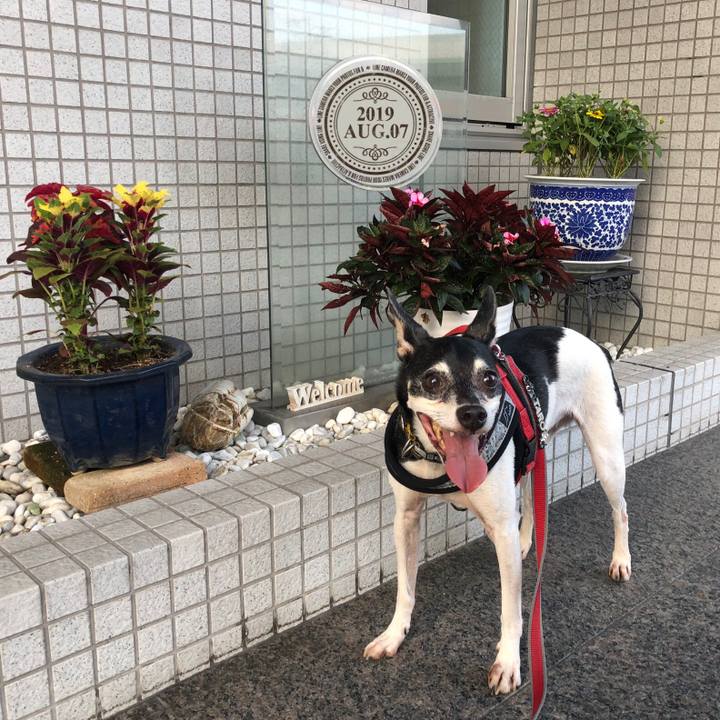 Dab7563e c43a 457a aac5 6e0baec98176 1565133587323