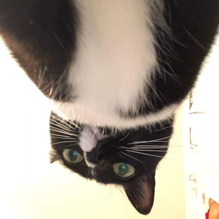 Dab7588d 218f 4cb0 adde f499b6dbc726 1513289642581