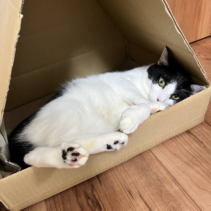 Dab77153 5e5b 4c8f 864a cf0c5cc13ae6 1696088444268