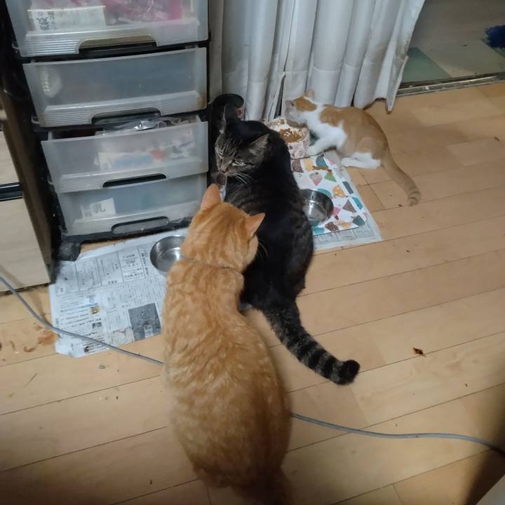 Dab77587 1fe9 44bc b7a9 f69b08209aa5 1725180554566