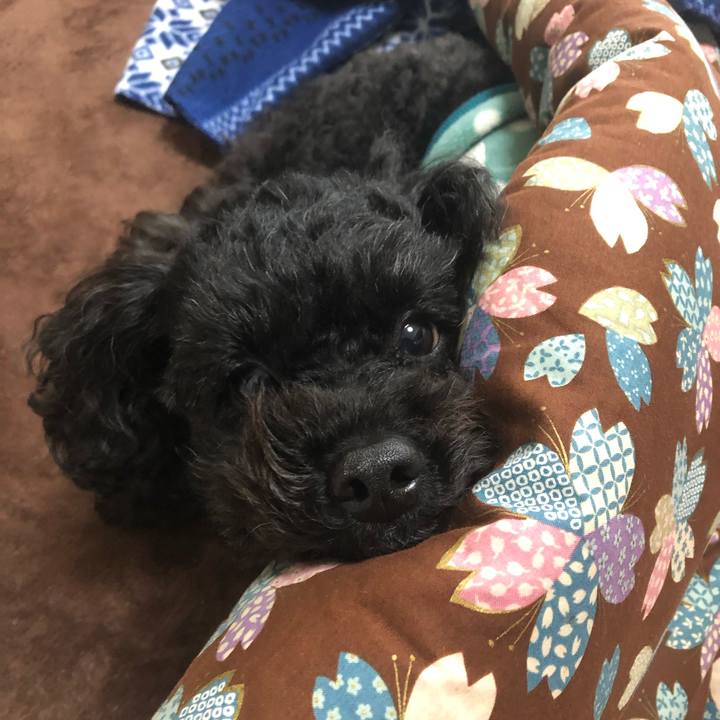 Dab7c4d2 a8ee 4c83 8e98 789576fef25c 1583825921772