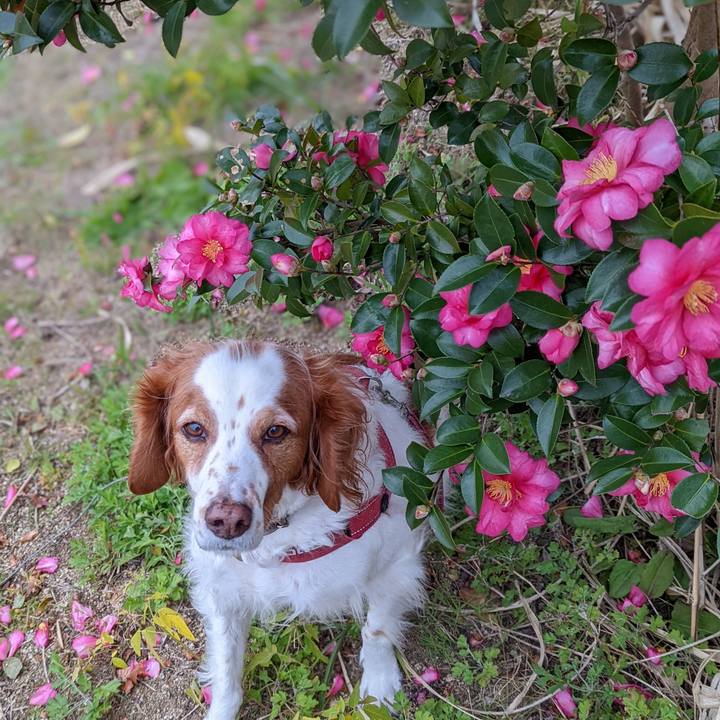 Dab7cc57 e083 44f3 98ab cdda09311ce5 1638271591791